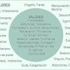 En este artículo sobre los 10 valores humanos más importantes (desde nuestro punto de vista) hemos analizado el respeto, la empatía, la responsabilidad ¿nos cuentas qué otros valores humanos crees que son imprescindibles para un mejor futuro de la humanidad? 1