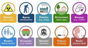 Many people notice no symptoms until cancer has reached an advanced stage; Lung Disorders Bioninja