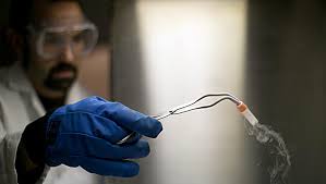 Zoo pulls plants out of deep freeze