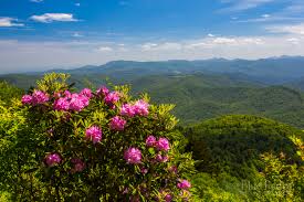 Hollows history center in arafat, virginia, on october 1st at 2:00; Blue Ridge Parkway Travel Guide Blue Ridge Mountain Life