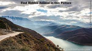 Check spelling or type a new query. Tough Picture Puzzles For Adults With Answers