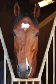 Apply for a loan housing loan make that everyone's dream house yours. Va Bank Ire 2012 Rennstall Wohler