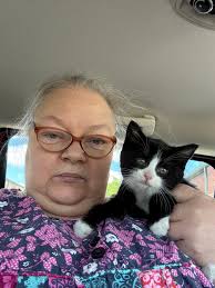 Can you identify the bird found in the van's grill?