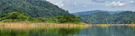 Treasure of nature the royal belum state park is located in the gerik, perak, (hulu perak area). Tropical Rain Forest At Royal Belum State Park Perak Malaysia Stock Image Image Of Rainforest Bush 162819405