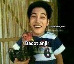 Banyak foto atau video kucing dan anjing lucu tersebar di media sosial. Jelek Bgt Lo Kai Hahahaha Gambar Lucu Humor Lucu Meme