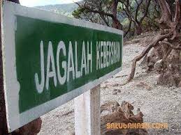 Pidato Tentang Kebersihan Lingkungan Sekolah Pembersihan Sekolah