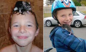 Family sues Petco after son dies of RAT-BITE FEVER