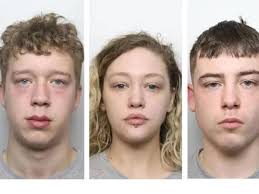 Woman and two men jailed after luring man to Sheffield park before  murdering him with...