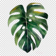Watercolor Flower Background Clipart Drawing Leaf Painting Transparent Clip Art All 10 templates are available to purchase in our shop at.