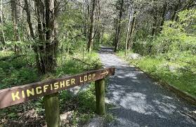 Best hikes and trails in Falling Waters