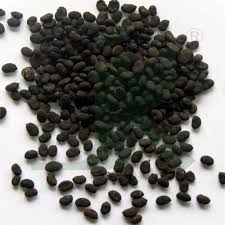 Image result for Psoralea