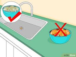 6 ways to get rid of fruit flies wikihow