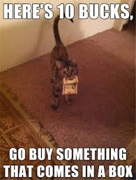 I personally love memes and funny animal memes are my personal favorite. 30 Funny Animal Memes You Ll Be So Glad To See Sayingimages Com