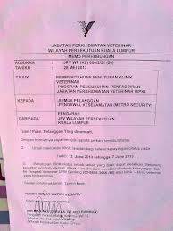 Flight, accommodation, treatment, and a trip round the city. Cerita Tentang Aku Byte Ke Hospital Vet Kerajaan