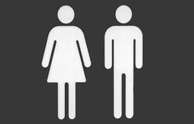 A wall gallery of favorite objects like starfish or baskets can be a personal and refreshing way to decorate your. A High School Bathroom Pass Policy That Actually Works Artsy Dork