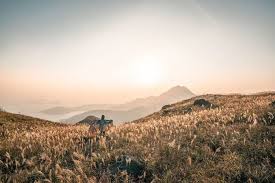 Both are steep, even some rock stairs of sorts. 6 Best Hiking Trails On Lantau Island Localiiz