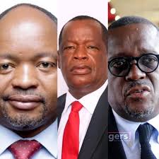 UPND Leaders Re-election Discussion