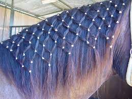 Ganz einfach aus biothane ! Top 5 Der Beliebtesten Pferdefrisuren Seitliche Hangezopfe