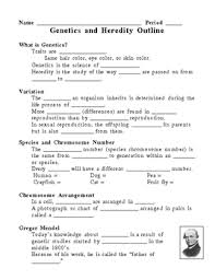 Reviewed by mr hayabuza on mei 16, 2021 rating: Genetics And Heredity Notes Outline Lesson Plan By Lisa Michalek