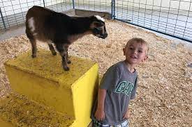 Parking is a nightmare (crowded and expensive), so for the. Green Meadows Petting Farm In Wisconsin Makes Learning Fun For Kids Traveling With Kids 30seconds Travel