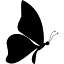 Free Free 256 Butterfly Drawing Svg SVG PNG EPS DXF File
