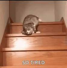 So Tired Meme Gifs Tenor