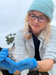 Staff Directory — Institute for Wildlife Studies