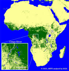 Download african jungle stock photos. Generation Of Global Forest Non Forest Map Using Alos Palsar