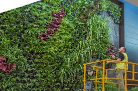 See more of vertical garden design on facebook. Green Walls Available In Sydney Brisbane Call 02 8283 2070