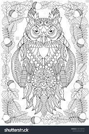 Pin By Cheryl Strizak On Plantillas Y Dibujos Owl Coloring Pages Animal Coloring Pages Puppy Coloring Pages