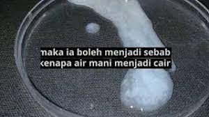 Kondisi air mani berketul memang akan merisaukan setiap lelaki yang mengalaminya. Air Mani Cair Oligospermia Youtube