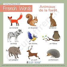 Practice french on your ipad with our amazing french animal alphabet. Les Animaux A Cup Of French