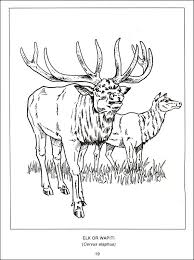 Learning about different cultures and ways of life can be fun with this canada coloring page. Wildlife Of Canada Coloring Book Spizzirri Publishing 9780865452985