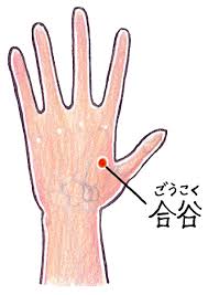 さかいさんのツボ講座002「花粉症の症状を緩和させる有名なツボ４選！」 - sakai-shinkyuin's blog