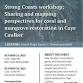 Strong Coasts Workshop: Sharing & mapping... event in Caye Caulker