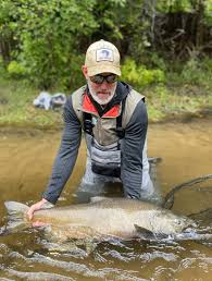 I'd like to get my first king off the pier this year. Does anyone have any  pointers