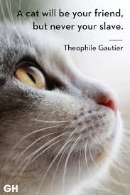 A real friend knows that it's not a friendship until after you've had a. 25 Best Cat Quotes That Perfectly Describe Your Kitten Funny And Cute Cat Quotes