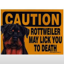 Rottweiler Rottweiler Rottweiler Quotes Rottweiler Love