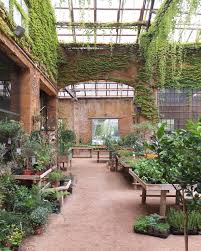 Audrey Jeanne Jardin De Reve Jardinerie Bar Arriere Cour