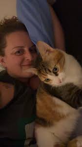 I have been working as a volunteer at "Digipunt" (Tongeren Belgium Europe)  since the summer, a place where people get free support for problems