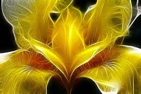 Abstract Artwork Color Photo