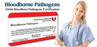 Which prescribes safeguards to protect workers against the health hazards from exposure to blood and other potentially infectious materials, and to reduce their risk from this. Osha Bloodborne Pathogens Training Course Online Aedcpr