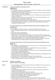Minimizing the makespan, total cash. Cash Management Sales Resume Samples Velvet Jobs