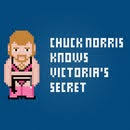 Game of thrones is a television adaptation from the series of books by george r. Jon Snow And Ghost Game Of Thrones Free Pdf Cross Stitch Pattern Instructables