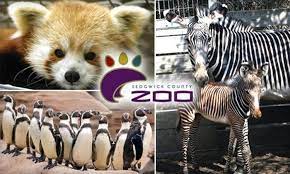 See rare and endangered species from four continents and take a trip through their natural habitats at sedgwick county zoo. Sedgwick County Zoo Wichita By E B