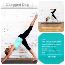 3 Legged Dog Stacked 3 Legged Upper Body Strength Hip Flexor Yoga Poses