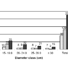 Image result for Pycreus fluminalis