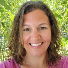 Do outdoor playsets at Sam's or Costco go