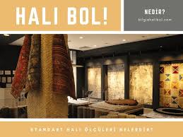 standart hali olculeri ve metre kare hesaplama halibol