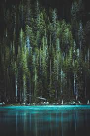 100 vertical pictures download free images stock photos on unsplash download free images stock photos